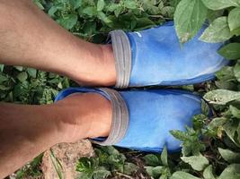 une paire de pieds avec des sandales bleues photo