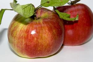pomme rouge sur blanc photo