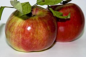 pomme rouge sur blanc photo