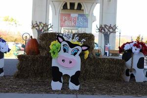 Affichage de pot de fleur de vache dans le Minnesota de Wabasha photo