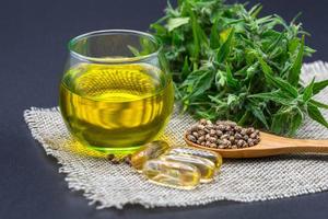 huile de chanvre cbd, herbe et feuilles de cannabis pour le traitement, extrait d'huile de chanvre. photo