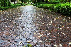 Chemin de pavés humides dans le parco dell arena, padoue photo