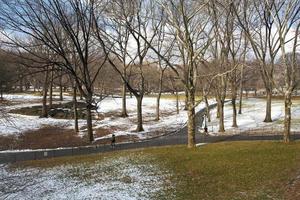 parc central new york en hiver photo