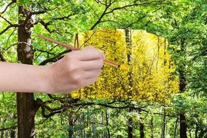 pinceau peint des feuilles jaunes dans la forêt verte photo