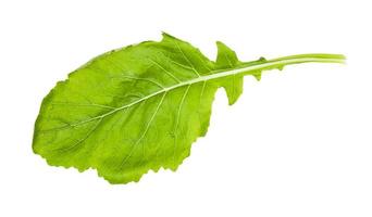 feuille fraîche de navet de salade blanche japonaise de kokabu photo