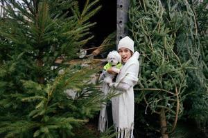 femme avec un chien blanc dans ses bras près d'un arbre de noël vert photo