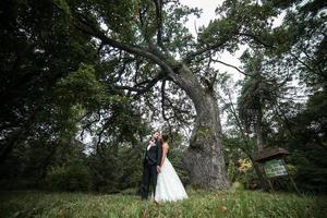 beau couple de mariage posant photo