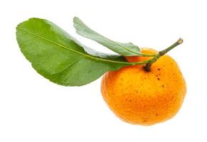 mandarine abkhaze fraîche mûre avec des feuilles vertes photo