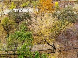 Sentiers dans le jardin public en automne photo