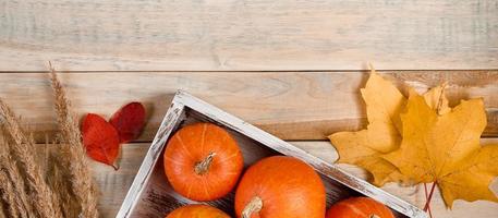 plat d'automne la. citrouilles mûres, épis de blé et feuilles mortes sur fond en bois. concept de récolte et d'action de grâces. photo