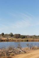 barrage de mabula bushveld photo