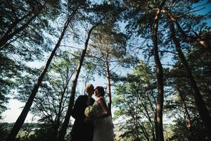 couple illuminé rayon de soleil dans une forêt de pins photo