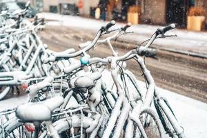 première neige de l'année photo