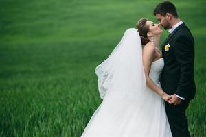 beau couple de mariage sur la nature photo