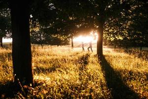 couple courant au coucher du soleil photo