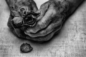 mains et fleurs de femme âgée photo