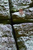 roche de grès abstrack photo