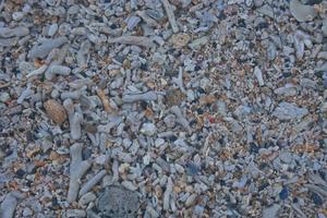 texture de sable. plage de sable pour le fond photo