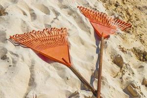 algues rouges très dégoûtantes plage de sargazo playa del carmen mexique. photo