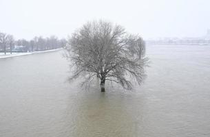 Météo extrême - arbres debout dans l'eau d'un sentier inondé à Düsseldorf, Allemagne photo