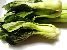 bok coy isolé sur fond blanc, pakcoy ou bok choy est un type de légume populaire. ce légume, aussi appelé moutarde à la cuillère, est facile à cultiver et peut être consommé frais photo