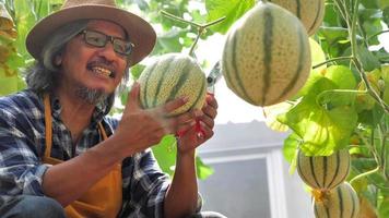 heureux agriculteur tenant du melon dans une ferme. photo