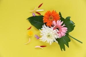 fleurs de printemps gerbera colorées fraîches sur des feuilles de philodendron vert plante tropicale photo