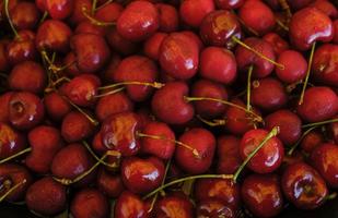 cerises rouges délicieuses et fraîches photo