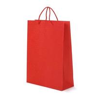 sacs à provisions en papier rouge isolés sur fond blanc, femme aime le concept de magasinage en ligne photo