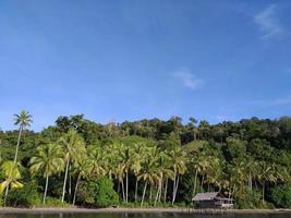 île tropicale avec palmier photo