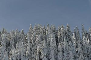 paysage de montagne d'hiver photo