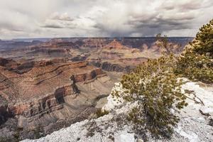 Parc national du Grand Canyon, Arizona photo