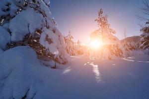 lever du soleil d'hiver avec forêt et montagnes couvertes de neige fraîche photo