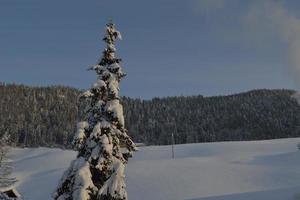 paysage de montagne d'hiver photo