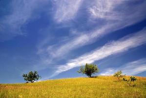 vue sur la nature prairie photo