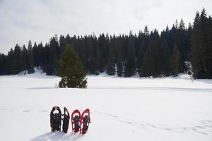 vue sur les raquettes d'hiver photo