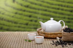 tasse de thé chaude avec théière, feuilles de thé vert et herbes séchées sur la natte de bambou le matin sur fond de plantations avec espace vide, produit biologique de la nature pour la santé avec traditionnel photo