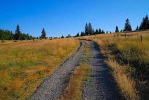 vue sur la route du paysage photo