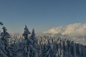 paysage de montagne d'hiver photo