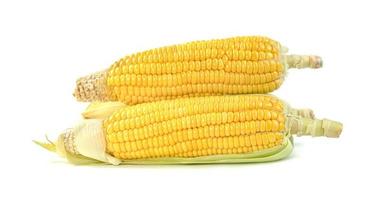 Maïs doux isolé sur fond blanc photo