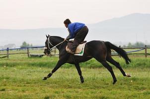 vue sur la course de chevaux photo