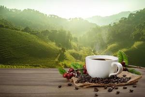 tasse de café chaud avec des grains de café rouges biologiques frais et des torréfactions de café sur la table en bois et le fond noir avec un espace de copie pour votre texte. photo