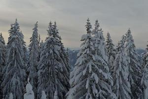 paysage de montagne d'hiver photo