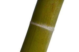 bambou sec peint de couleur verte pour être mur, texture et arrière-plan en bambou, photo