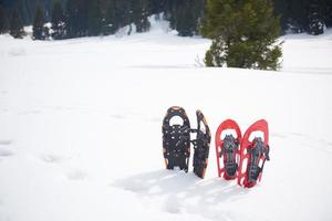 vue sur les raquettes d'hiver photo