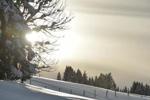 paysage de montagne d'hiver photo