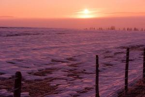 paysage d'hiver pittoresque avec arbre solitaire photo