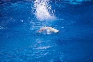 exercice de nageur sur le caca de piscine intérieure photo