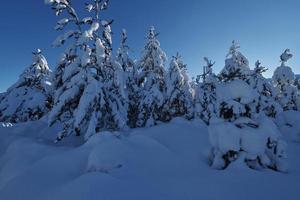 lever du soleil d'hiver avec forêt et montagnes couvertes de neige fraîche photo