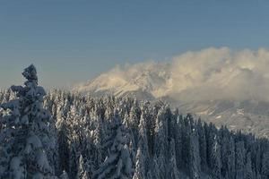 paysage de montagne d'hiver photo